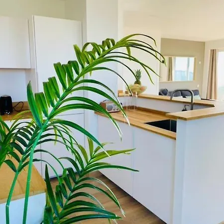 Vue L'horizon Baulois La Baule-Escoublac